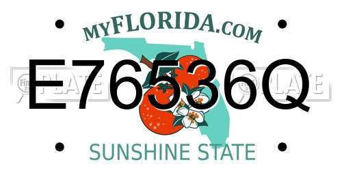 E76536Q Florida License Plate