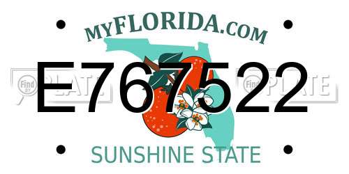 E767522 Florida License Plate