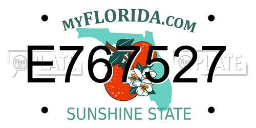 E767527 Florida License Plate