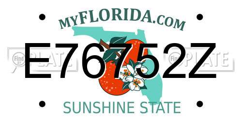 E76752Z Florida License Plate
