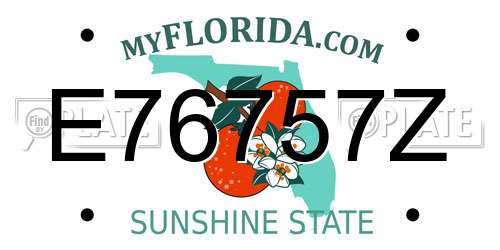 E76757Z Florida License Plate