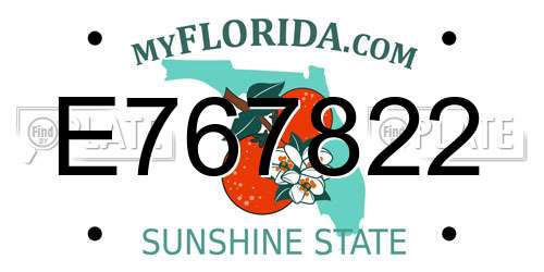 E767822 Florida License Plate