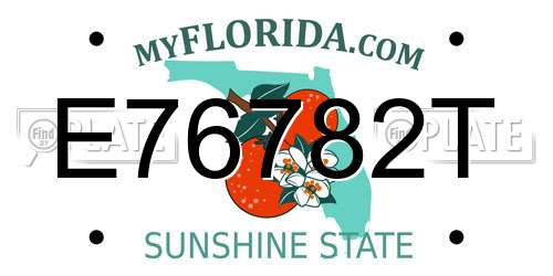 E76782T Florida License Plate