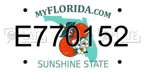 E770152 Florida License Plate