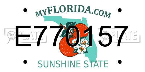E770157 Florida License Plate