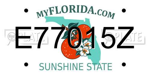 E77015Z Florida License Plate