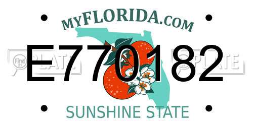 E770182 Florida License Plate