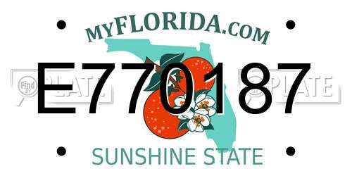 E770187 Florida License Plate