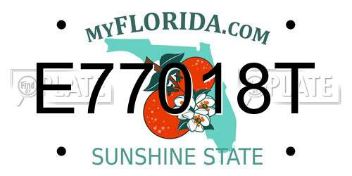 E77018T Florida License Plate