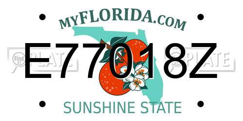 E77018Z Florida License Plate