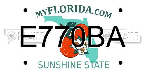 E770BA Florida License Plate