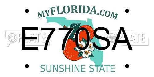 E770SA Florida License Plate