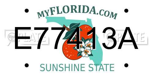 E77413A Florida License Plate