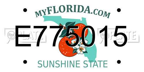 E775015 Florida License Plate