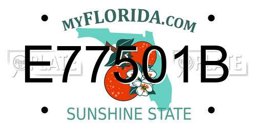 E77501B Florida License Plate