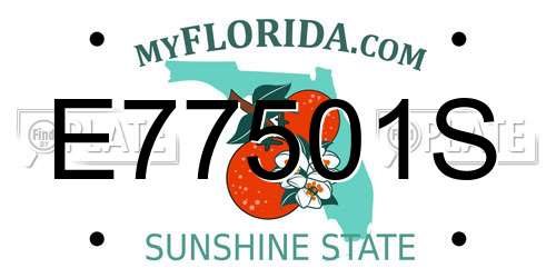 E77501S Florida License Plate