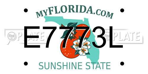 E7773L Florida License Plate
