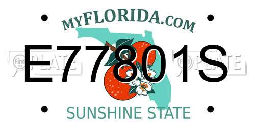 E77801S Florida License Plate