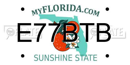 E77BTB Florida License Plate