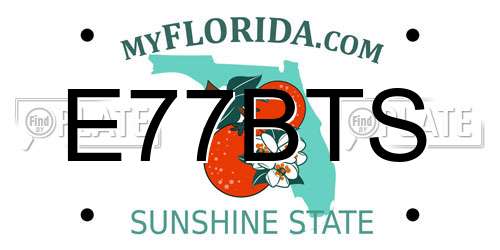 E77BTS Florida License Plate