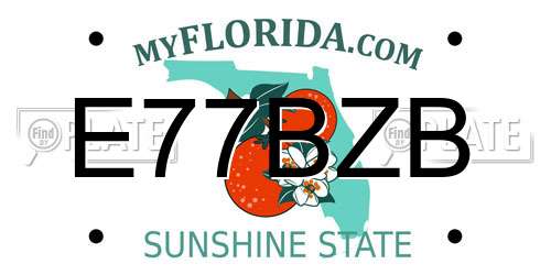 E77BZB Florida License Plate