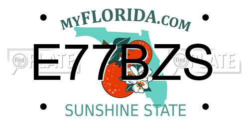 E77BZS Florida License Plate