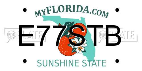 E77STB Florida License Plate