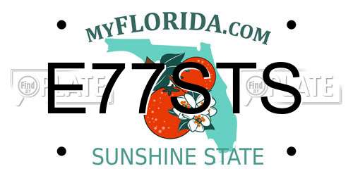 E77STS Florida License Plate