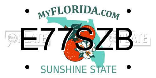 E77SZB Florida License Plate