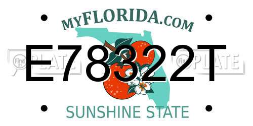 E78322T Florida License Plate