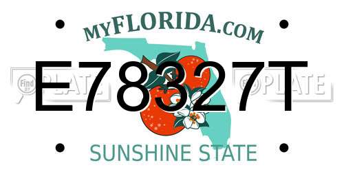 E78327T Florida License Plate