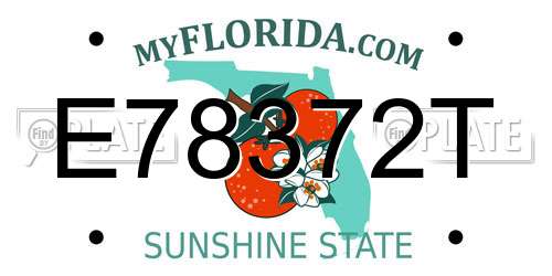 E78372T Florida License Plate