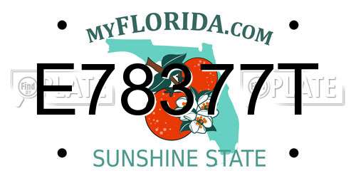 E78377T Florida License Plate