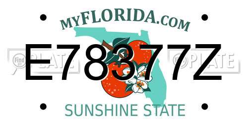 E78377Z Florida License Plate