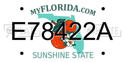 E78422A Florida License Plate