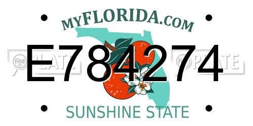 E784274 Florida License Plate