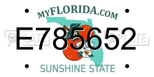 E785652 Florida License Plate