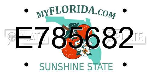 E785682 Florida License Plate