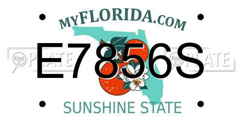 E7856S Florida License Plate