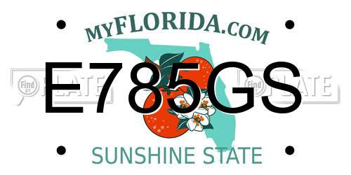 E785GS Florida License Plate