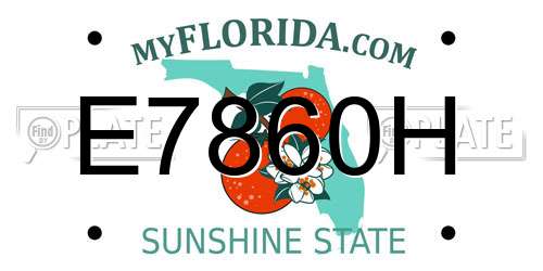 E7860H Florida License Plate