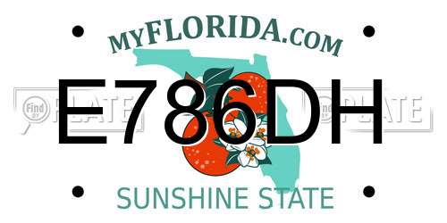 E786DH Florida License Plate