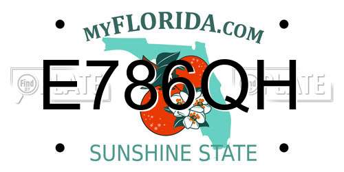 E786QH Florida License Plate