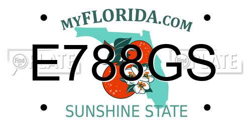 E788GS Florida License Plate