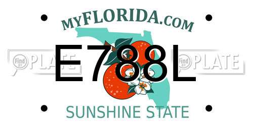 E788L Florida License Plate