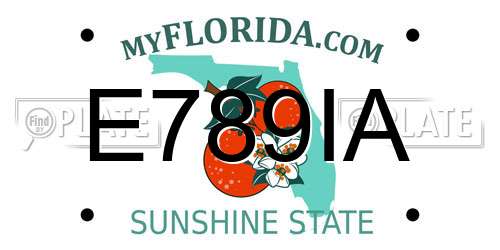 E789IA Florida License Plate