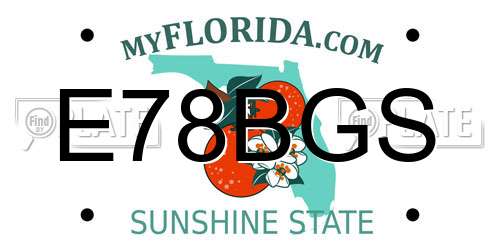 E78BGS Florida License Plate