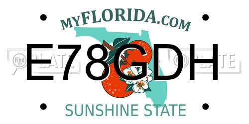 E78GDH Florida License Plate