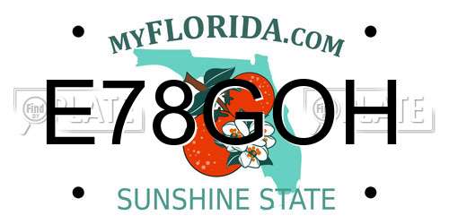 E78GOH Florida License Plate