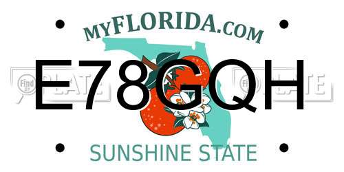 E78GQH Florida License Plate